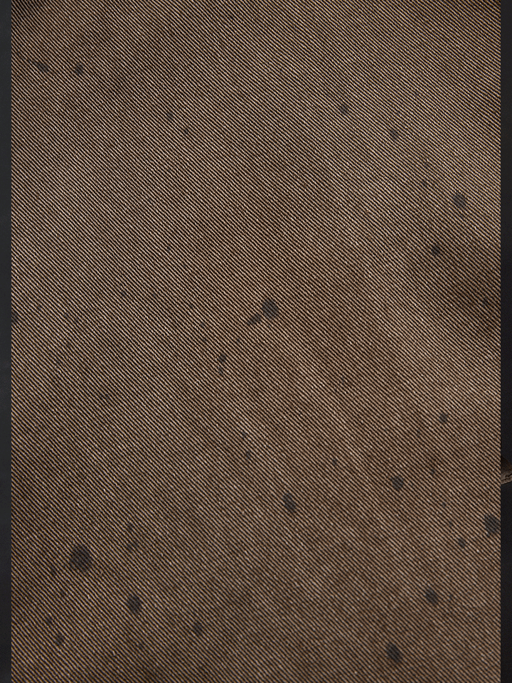 Retro Washed Taupe Western Slim Fit Button-Up Shirt